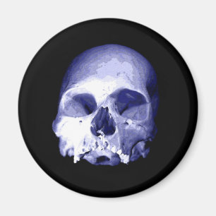 Blue Skull Magnet