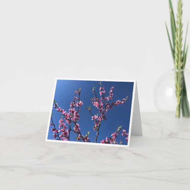 Blue Sky - 1 Thank You Card (Front)