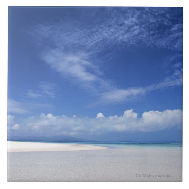 Blue sky and sea 2 tile (Front)