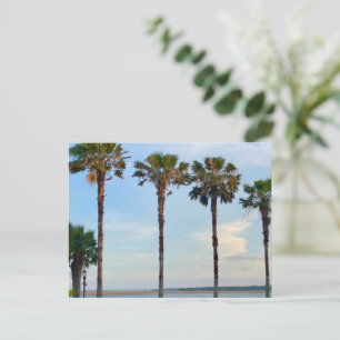 Blue Sky and Trees  Postcard