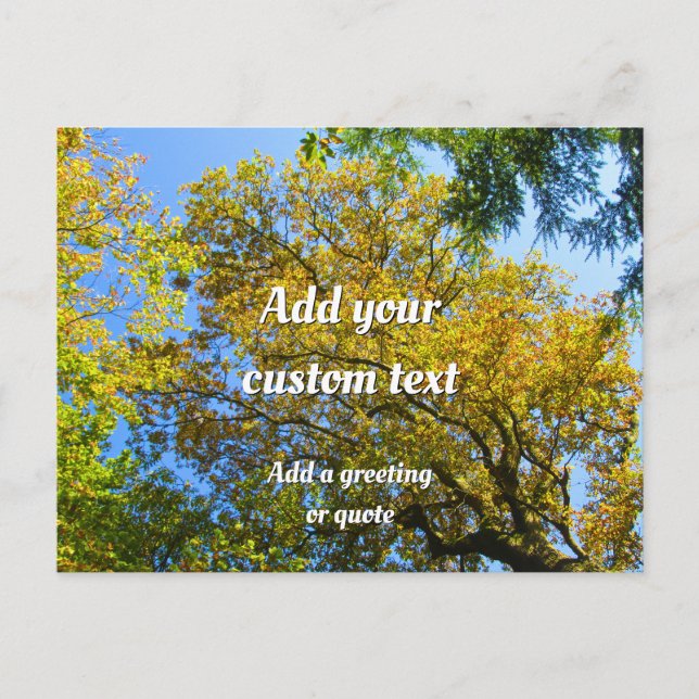 Blue Sky & Autumn Foliage - Personalized Postcard (Front)