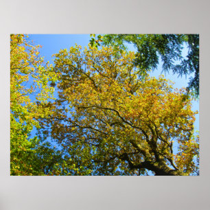 Blue Sky & Autumn Leaves - Personalised Poster