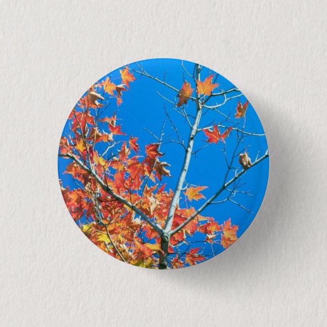 Blue Sky Autumn Tree 1 Inch Round Button (Front)