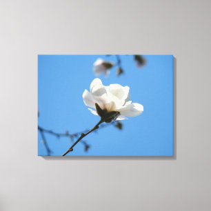 Blue Sky Canvas art prints White Magnolia Flower