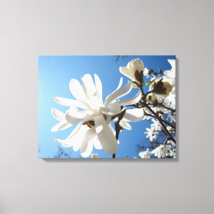 Blue Sky Floral art Canvas prints White Magnolias