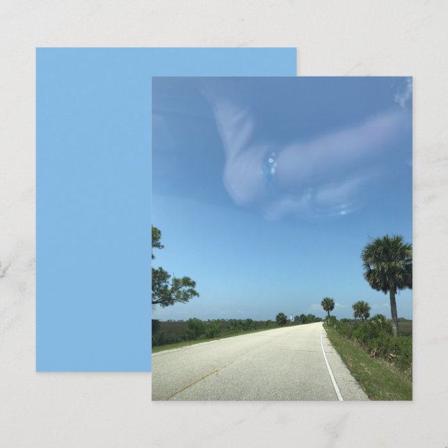 Blue Sky Florida Highway Palms Scrapbook Paper (Front/Back)
