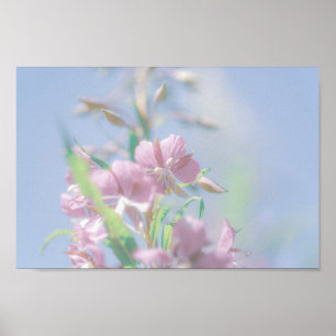 Blue Sky Green Plant Leaves Purple Flowers Poster