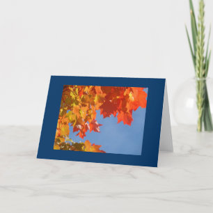 Blue Sky Greeting Cards Holiday Cards Clients