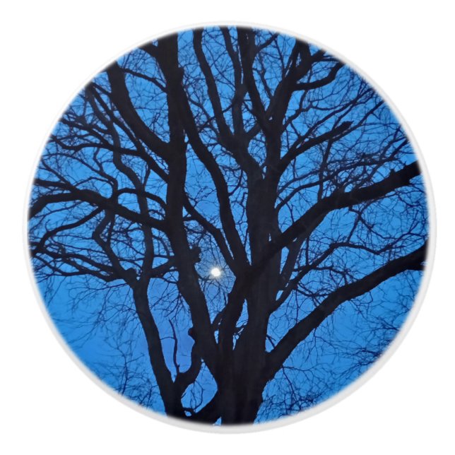 Blue Sky Night Tree  Ceramic Knob (Front)