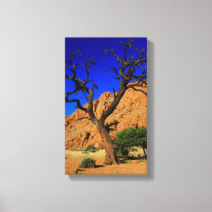 Blue Sky Red Soil Tree Namibia Canvas Print