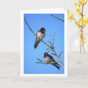 Blue Sky, Swallow Birds Portrait Card