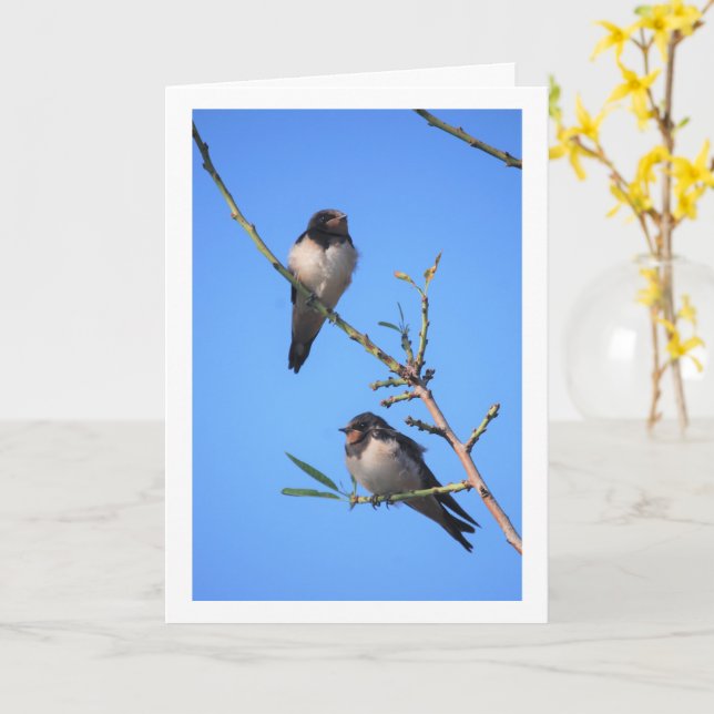 Blue Sky, Swallow Birds Portrait Card (Yellow Flower)