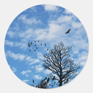 Blue Sky White Clouds Eagle Birds Tree Grass Classic Round Sticker