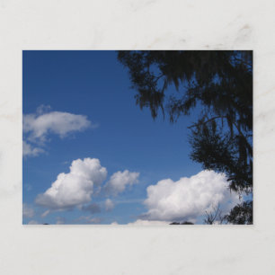 Blue sky white clouds & tree on a post card