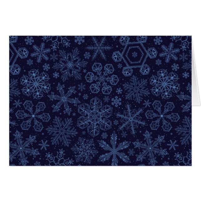Blue Snowflakes on blue (Front Horizontal)