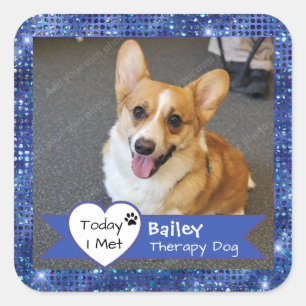 Blue Sparkle Therapy Dog Today I Met Visit Square Sticker