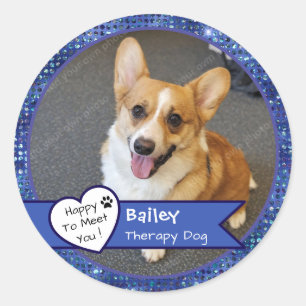 Blue Sparkle Therapy Dog Visit Custom Classic Round Sticker
