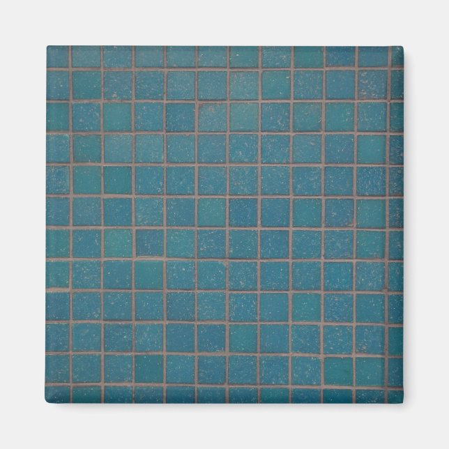 blue speckled tiles magnet (Front)