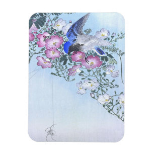 Blue Spider Bird Flower Print Spider Lovers Magnet