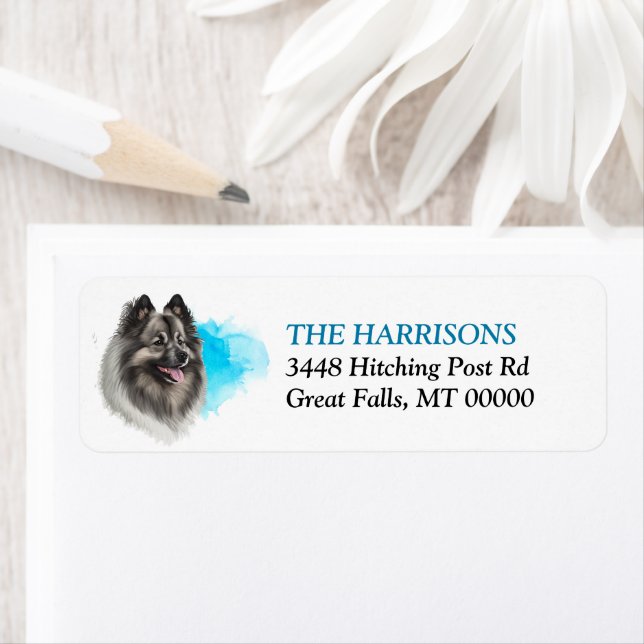 Blue Splash Keeshond Dog Return Address (Insitu)