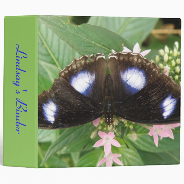 Blue Spotted Butterfly Custom Binder (Front/Spine)