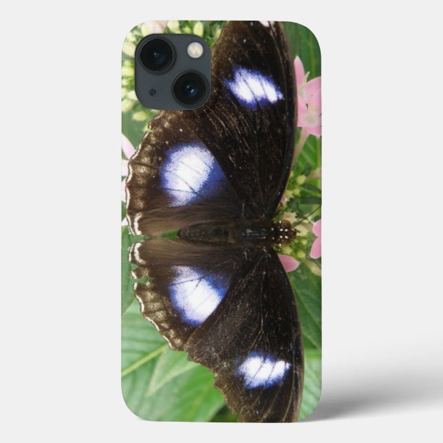 Blue Spotted Butterfly iPad Case (Back)
