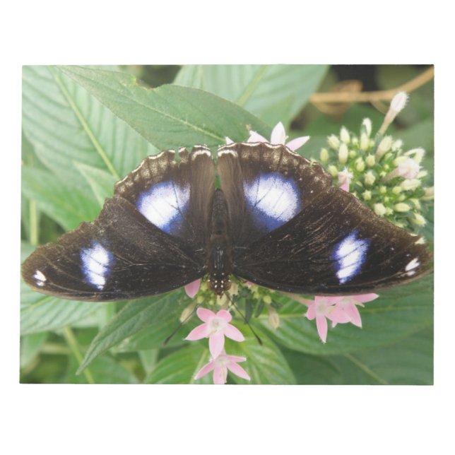 Blue Spotted Butterfly Notepad (Front)