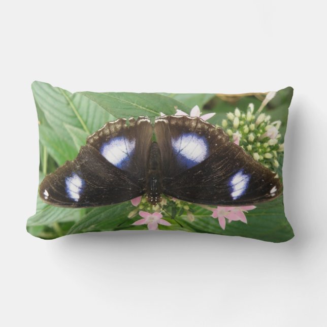 Blue Spotted Butterfly Pillow (Front)