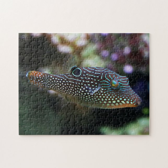 Blue Spotted Pufferfish Canthigaster Solandri Jigsaw Puzzle (Horizontal)
