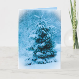 Blue Spruce Christmas Eve Photo  Holiday Card