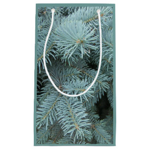 Blue spruce gift bag