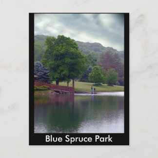 Blue Spruce Park Postcard