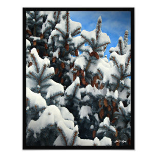 Blue Spruce Snow Cones Full Colour Wall Art Print