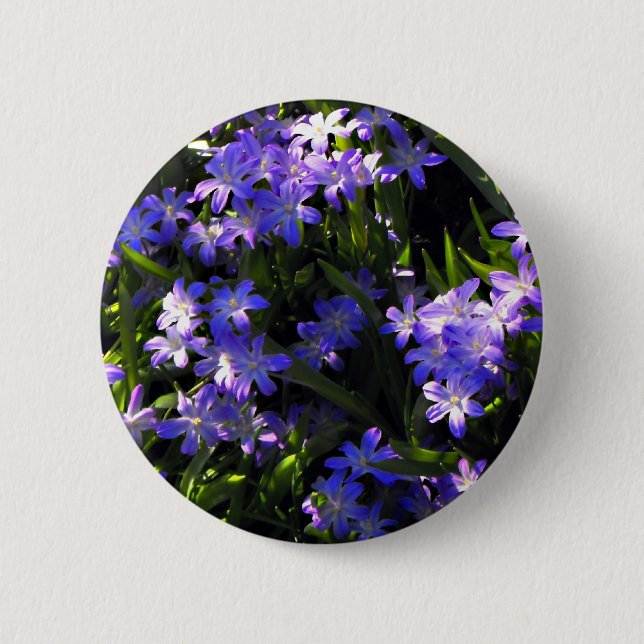 Blue Squill Spring Flowers 2 Inch Round Button (Front)