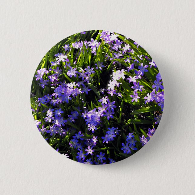 Blue Squill Spring Flowers 2 Inch Round Button (Front)