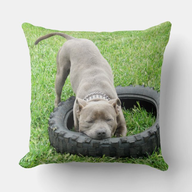 Blue Staffordshire Bull Terrier Play Time. Throw Pillow (Front)