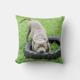 Blue Staffordshire Bull Terrier Play Time. Throw Pillow