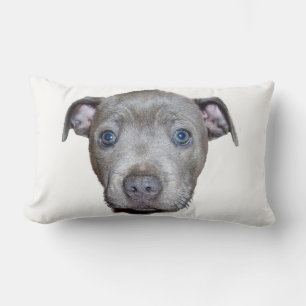 Blue Staffordshire Bull Terrier Puppy Face, White Lumbar Pillow