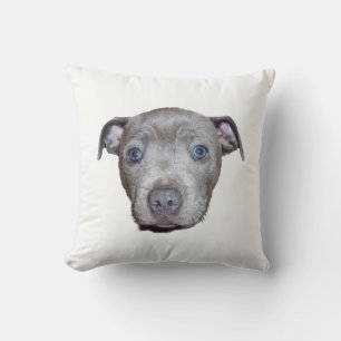 Blue Staffordshire Bull Terrier Puppy Face, White Throw Pillow
