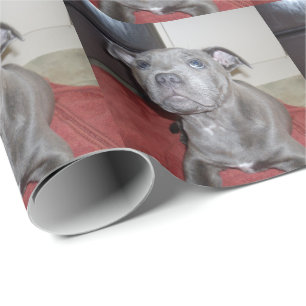 Blue Staffordshire Bull Terrier Puppy, Notebook Wrapping Paper