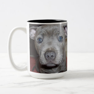 Blue Staffordshire Bull Terrier Puppy, Two-Tone Coffee Mug