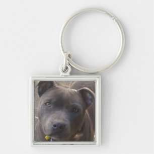 Blue Staffy Keychain
