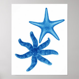Blue Starfish no 5 décoration murale