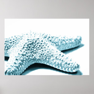 Blue Starfish Poster