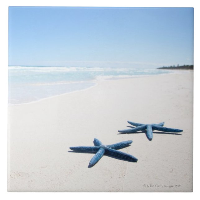 Blue Starfish Tile (Front)