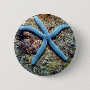 Blue starfish tropical ocean Raja Ampat Islands 2 Inch Round Button