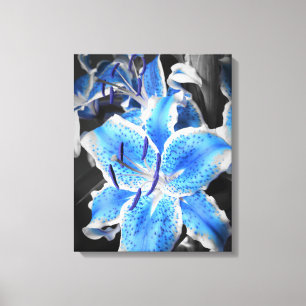 Blue Stargazer Wrapped Canvas