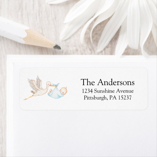Blue Stork Baby Shower Return Address (Insitu)