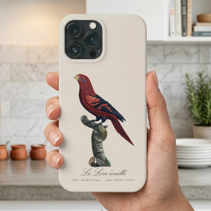 Blue-Streaked Lory, Trichoglossus reticulatus iPhone 13 Pro Max Case