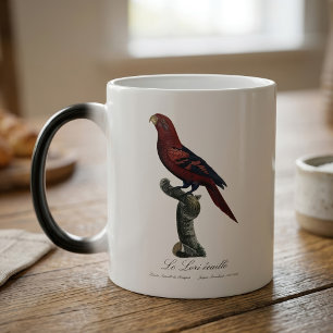 Blue-Streaked Lory, Trichoglossus reticulatus Magic Mug